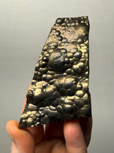 Load image into Gallery viewer, Botryoidal Stalactite Goethite (Iron Oxyhydroxide) Display Specimen | Turkey
