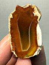 Load image into Gallery viewer, Premium Sumatra Agate (Banded Chalcedony) Display Specimen | Indonesia

