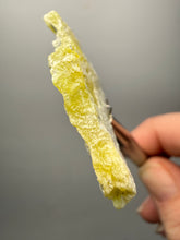 Load image into Gallery viewer, Vibrant Yellow Brucite Thumbnail Mineral Specimen | Collector Crystal from Killa Saifullah District in Balochistan Province, Pakistan
