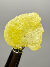 Load image into Gallery viewer, Vibrant Yellow Brucite Thumbnail Mineral Specimen | Collector Crystal from Killa Saifullah District in Balochistan Province, Pakistan
