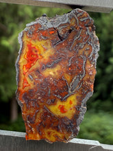 Load image into Gallery viewer, Moroccan Orange, Yellow, Red Agate Collected by Indigenous Nomads | Ancient Beauty from the Sahara
