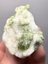 Load image into Gallery viewer, Electric Green Diopside on Quartz – Collector Mineral Specimen (Gilgit-Baltistan) Pakistan

