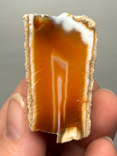 Load image into Gallery viewer, Premium Sumatra Agate (Banded Chalcedony) Display Specimen | Indonesia
