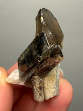 Load image into Gallery viewer, Smoky Quartz Crystal Specimen | Natural Collector Mineral – Brazil
