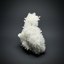 Load image into Gallery viewer, High-Grade Chrysanthemum Quartz (Needle Quartz) Spray Cluster | Jiangxi, China
