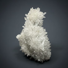 Load image into Gallery viewer, High-Grade Chrysanthemum Quartz (Needle Quartz) Spray Cluster | Jiangxi, China
