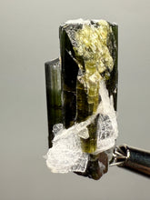 Load image into Gallery viewer, Green Cap Stak Nala Tourmaline with Cleavelandite – Haramosh Mountains, Pakistan | Thumbnail Specimen

