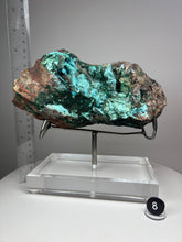 Load image into Gallery viewer, Chrysocolla Druzy Botryoidal Stalactites Pseudomorph after Malachite on Matrix from Congo • Fine Mineral Collector’s Showpiece
