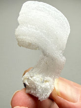 Load image into Gallery viewer, RARE COMBO Moroccan Ram’s Horn Selenite (Gypsum) with Purple Fluorite Display Specimen
