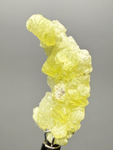 Load image into Gallery viewer, Vibrant Yellow Brucite Thumbnail Mineral Specimen | Collector Crystal from Killa Saifullah District in Balochistan Province, Pakistan
