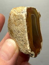 Load image into Gallery viewer, Premium Sumatra Agate (Banded Chalcedony) Display Specimen | Indonesia
