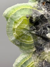 Load image into Gallery viewer, High-Grade Green Wavellite Collectors Specimen - Radiating Botryoidal Crystal Formation - Arkansas, USA
