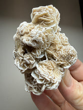 Load image into Gallery viewer, Desert Rose Selenite (Gypsum) — Mineral Display Specimen | Mexico
