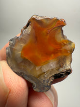 Load image into Gallery viewer, Lot of 4 Small Malawi Agate Halves – Polished Rare Colorful Collector Specimens
