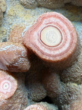 Load image into Gallery viewer, Rhodochrosite Free Form Collector Mineral Display Specimen — Argentina
