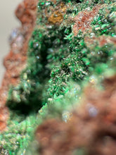 Load image into Gallery viewer, Brochantite Collector Mineral Specimen – Vivid Green Copper Crystals from Morocco
