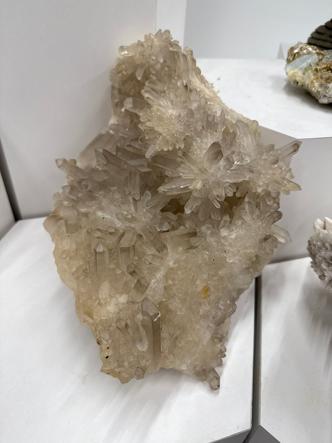 Smoky quartz cluster