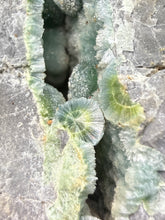 Load image into Gallery viewer, High-Grade Blue Green Wavellite Collectors Specimen - Radiating Botryoidal Crystal Formation - Arkansas, USA
