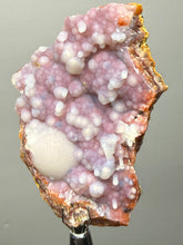 Load image into Gallery viewer, “Goblin Chalcedony” Pink and Red Druzy Botryoidal Stalactites — Tichka Massif, High Atlas, Morocco
