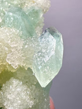 Load image into Gallery viewer, Luminous Mint Apophyllite with Glittering Druzy Sugar Quartz – India
