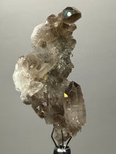 Load image into Gallery viewer, Smoky Quartz Crystal Specimen | Natural Collector Mineral – Brazil
