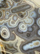 Load image into Gallery viewer, Mystical Turkish Stick &amp; Eye Agate with Intriguing Inclusions – Great Banding and Eyes
