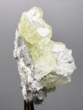 Load image into Gallery viewer, Vibrant Yellow Brucite Thumbnail Mineral Specimen | Collector Crystal from Killa Saifullah District in Balochistan Province, Pakistan
