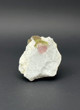 Load image into Gallery viewer, Watermelon Tourmaline on Matrix – Collector Mineral Specimen from Pakistan
