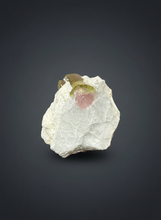 Load image into Gallery viewer, Watermelon Tourmaline on Matrix – Collector Mineral Specimen from Pakistan
