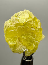 Load image into Gallery viewer, Vibrant Yellow Brucite Thumbnail Mineral Specimen | Collector Crystal from Killa Saifullah District in Balochistan Province, Pakistan
