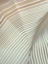 Load image into Gallery viewer, Rare Moroccan White Agate w Incredible Parallax Collected by Indigenous Nomads | Ancient Beauty from the Sahara
