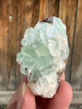 Load image into Gallery viewer, Light Mint Green Radial (Disco Ball) Apophyllite + Stilbite • Maharashtra, India
