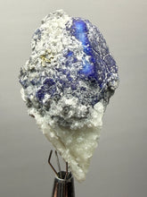 Load image into Gallery viewer, Afghanite &amp; Lazurite on Matrix Collector Display Specimen | Badakhshan Region, Afghanistan
