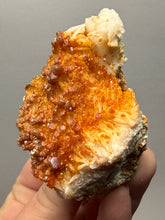 Load image into Gallery viewer, Natural Vanadinite on Matrix | Collector Mineral Specimen | Morocco
