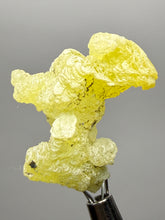 Load image into Gallery viewer, Vibrant Yellow Brucite Thumbnail Mineral Specimen | Collector Crystal from Killa Saifullah District in Balochistan Province, Pakistan
