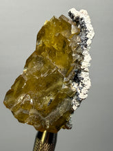 Load image into Gallery viewer, Vibrant Yellow Barite | Collector Display Specimen | Taourirt Mine, Morocco
