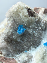 Load image into Gallery viewer, Rare Electric Blue Pentagonite on Druzy Matrix – Collector Mineral Specimen | India
