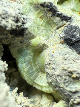 Load image into Gallery viewer, High-Grade Green Wavellite Collectors Specimen - Radiating Botryoidal Crystal Formation - Arkansas, USA
