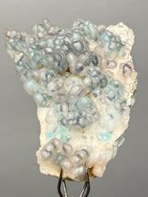 Load image into Gallery viewer, Blue-Green Chrysocolla in Botryoidal Chalcedony Cabinet Specimen | Indonesia
