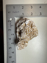 Load image into Gallery viewer, Desert Rose Selenite (Gypsum) — Mineral Display Specimen | Mexico
