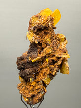 Load image into Gallery viewer, High-Grade Orange Wulfenite Collector Display Specimen | La Morita Mine, Chihuahua, Mexico
