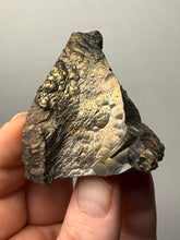Load image into Gallery viewer, Botryoidal Stalactite Goethite (Iron Oxyhydroxide) Display Specimen | Turkey
