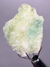 Load image into Gallery viewer, Luminous Mint Apophyllite with Glittering Druzy Sugar Quartz – India
