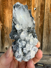 Load image into Gallery viewer, Clear Gem Apophyllite Cluster on black matrix • Maharashtra, India
