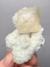 Load image into Gallery viewer, Rare Druzy Golden “Diamond” Calcite on Zeolite Matrix — Maharashtra, India | Collector Cabinet Specimen
