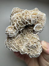 Load image into Gallery viewer, Desert Rose Selenite (Gypsum) — Mineral Display Specimen | Mexico
