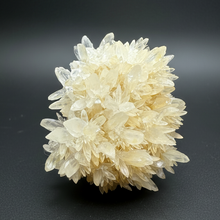 Load image into Gallery viewer, High-Grade Flower Coral Aragonite Crystal Specimen – Wenshan Mine, Yunnan, China
