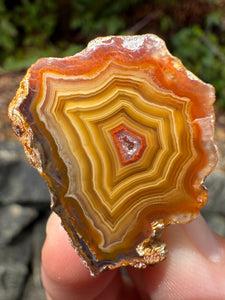 Small High-Grade Laguna Agate with Parallax Effect & Quartz Core – Rare Mexican Collectible Gemstone