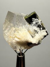 Load image into Gallery viewer, Dark Green Cap Stak Nala Tourmaline and Cleavelandite on Quartz – Haramosh Mountains, Pakistan | Thumbnail Specimen

