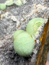 Load image into Gallery viewer, High-Grade Green Wavellite Collectors Specimen - Radiating Botryoidal Crystal Formation - Arkansas, USA

